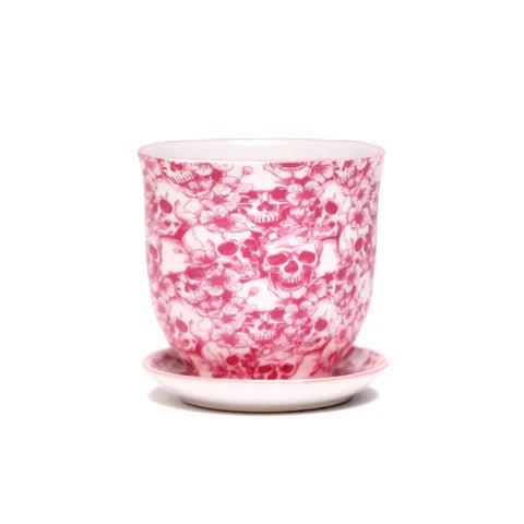 Liberte Decorative Pot with saucer - Dr. Bill's Orchids, LLC