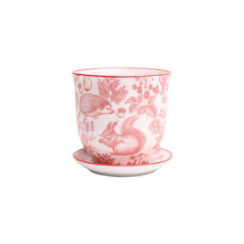 Liberte Decorative Pot with saucer - Dr. Bill's Orchids, LLC
