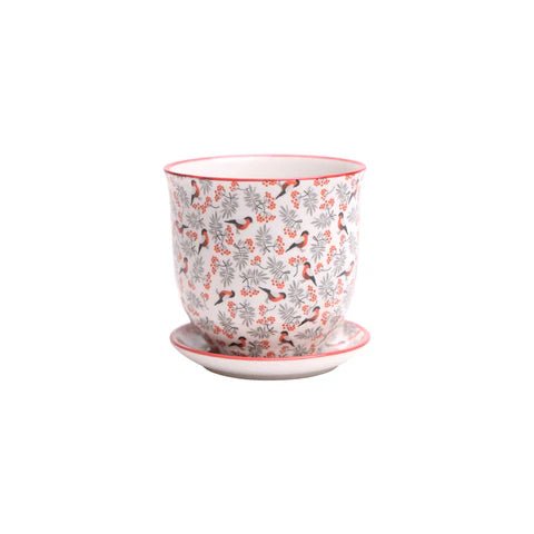 Liberte Decorative Pot with saucer - Dr. Bill's Orchids, LLC