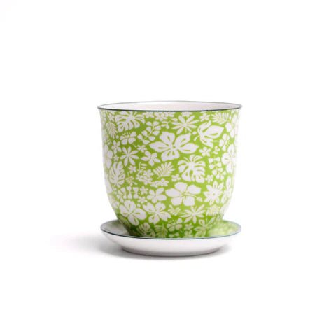 Liberte Decorative Pot with saucer - Dr. Bill's Orchids, LLC