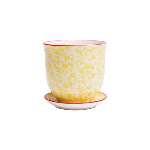 Liberte Decorative Pot with saucer - Dr. Bill's Orchids, LLC