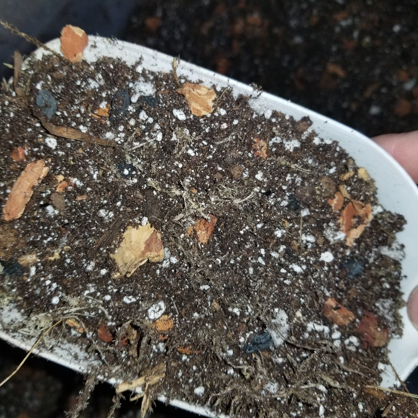 Aroid potting media - Dr. Bill's Orchids, LLC