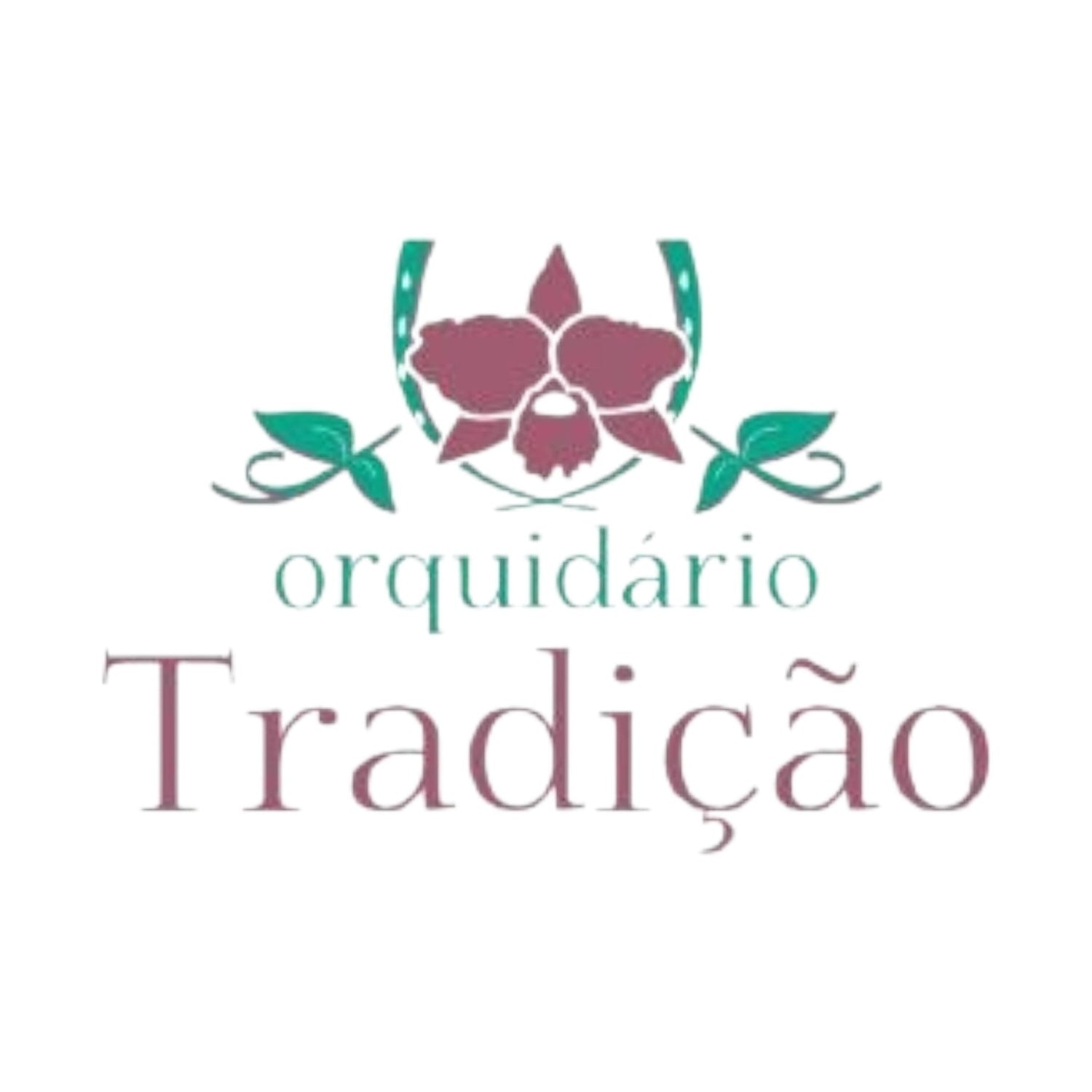 Orquidário Tradição - Dr. Bill's Orchids, LLC