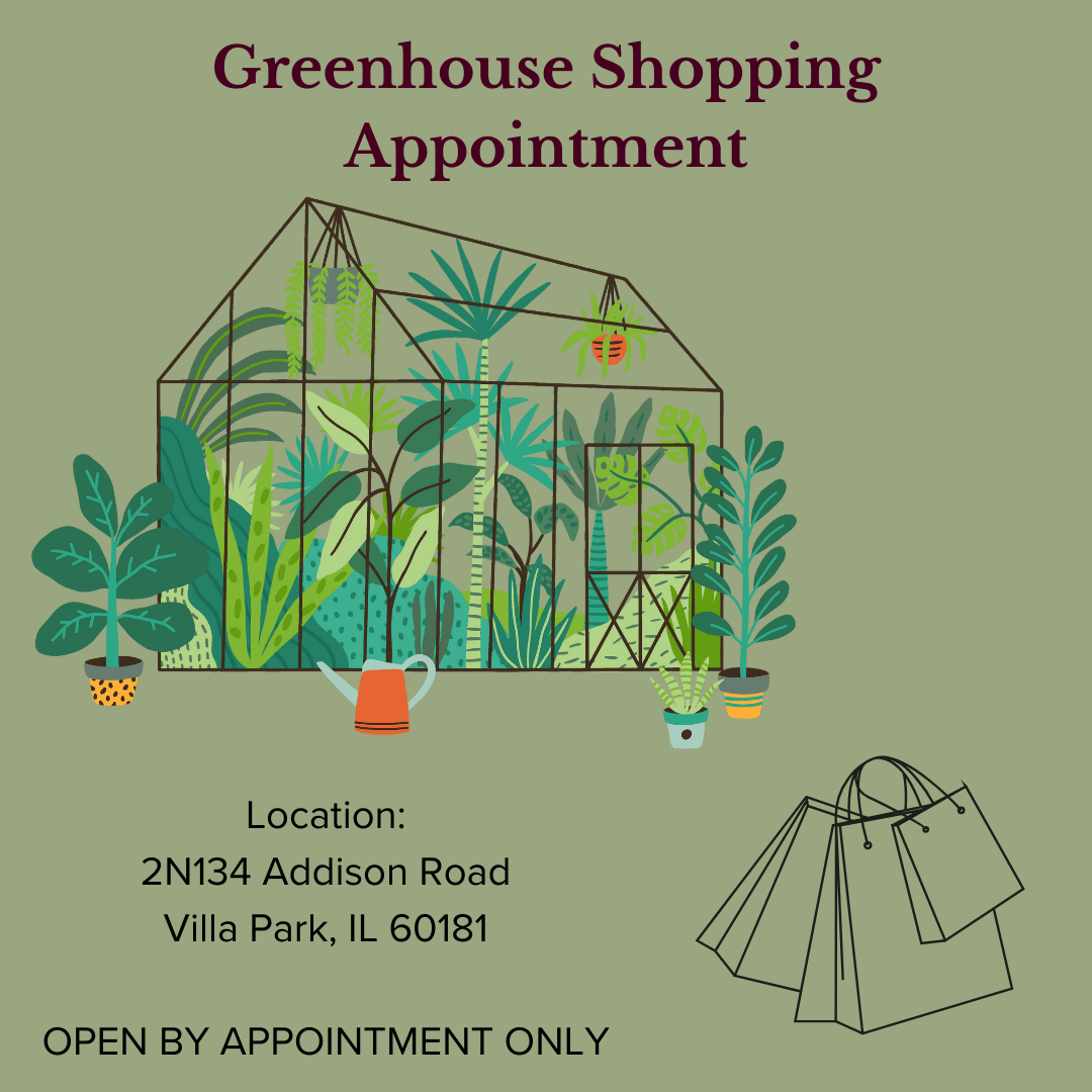 GH in - person shopping appointment - Dr. Bill's Orchids, LLC