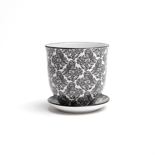 Liberte Decorative Pot with saucer - Dr. Bill's Orchids, LLC